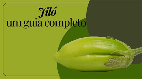 jiló 707|Jiló .